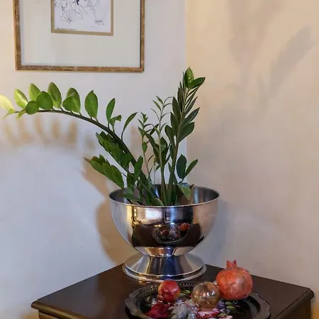 Boutique Palea Poli 酒店